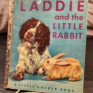 Laddie and the Little Rabbit