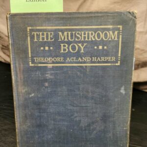 The Mushroom Boy