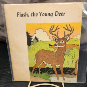 Flash, The Young Deer